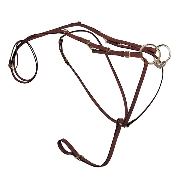 Tory Leather German Martingale With Reins
